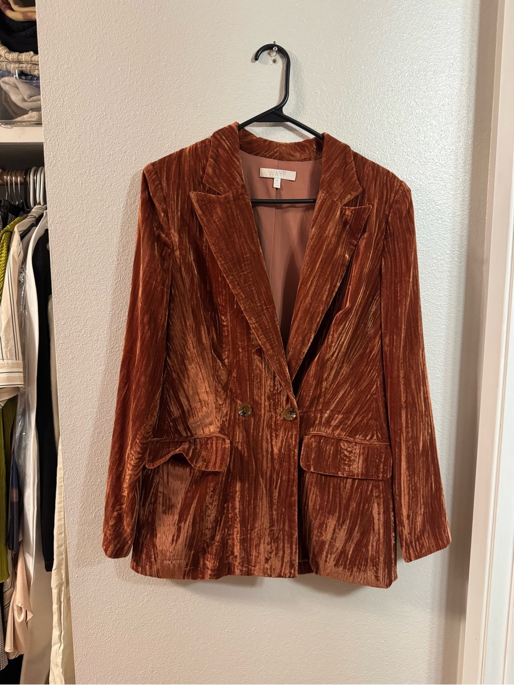 WAYF Velvet Blazer